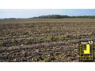 Property photo 69 - Land Auction 1035 Acres In 16 tracts - Farm Land - Sullivan Co. Indiana & Clark Co., Illinois